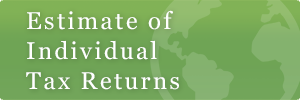 estimate_of_individual_tax_return